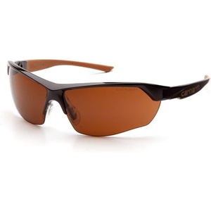 Carhartt-CHB1110DT Braswell Anti-Fog Safety Glasses Eye Protection, Black Frame, Clear Lens(Bronze Anti-fog Lens/ Black Frame)