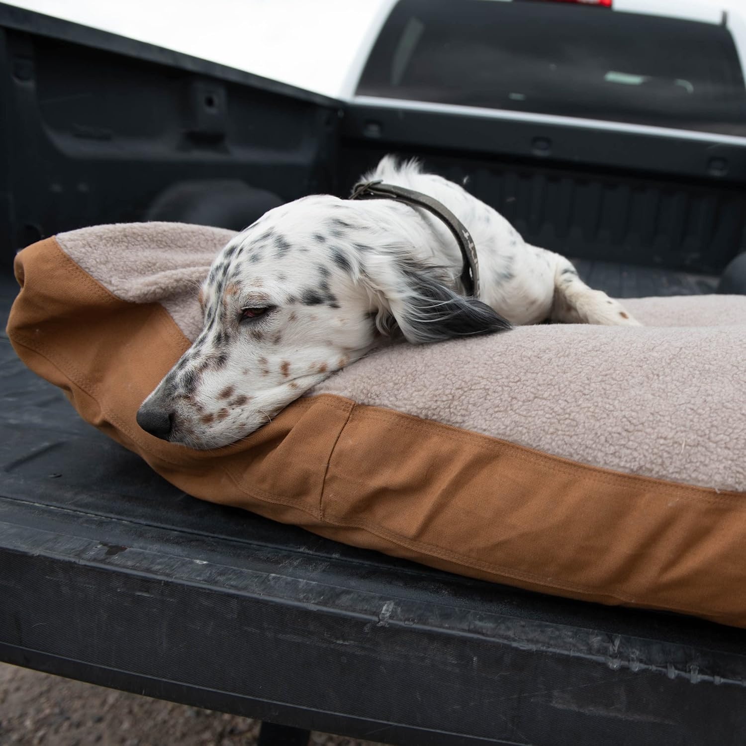 imageCarhartt Durable Canvas Pet Bed Water Resistant Firm Duck Dog Bed Carhartt Brown Sherpa Top MediumCarhartt Brown Sherpa Top