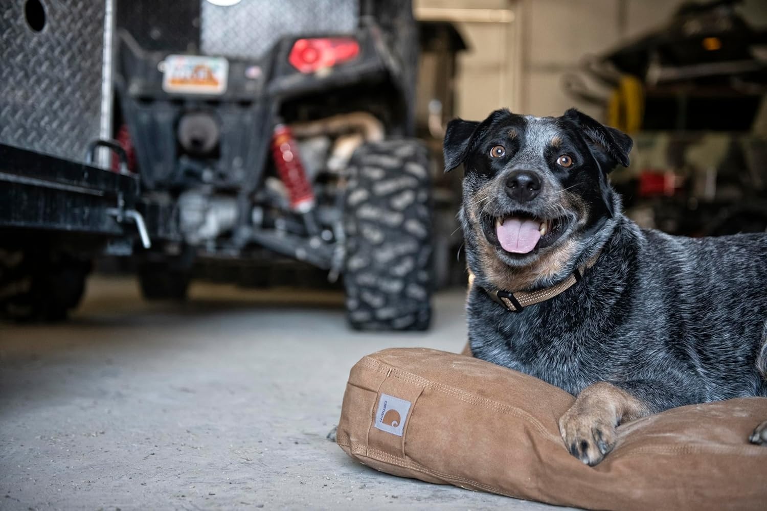 imageCarhartt Durable Canvas Pet Bed Water Resistant Firm Duck Dog Bed Carhartt Brown Sherpa Top MediumDeep Wine