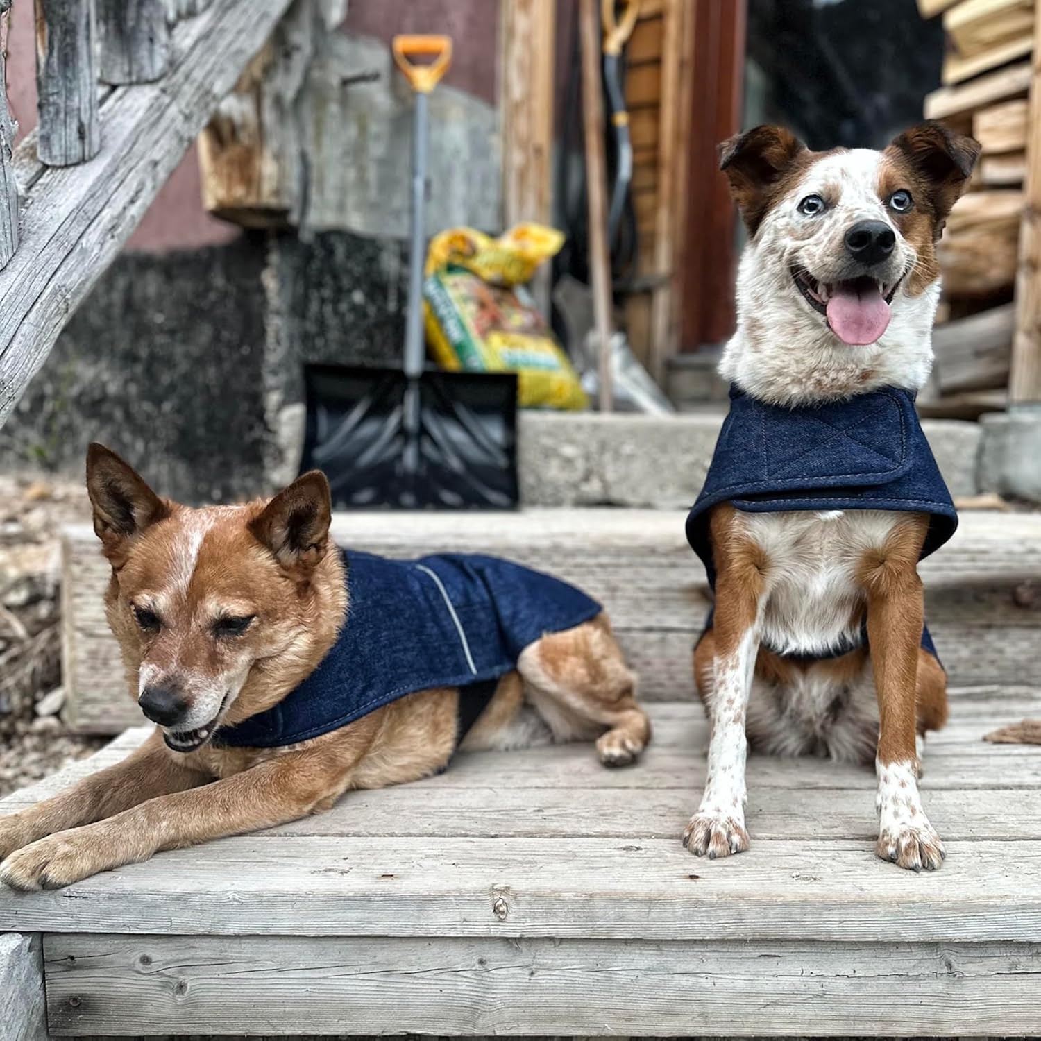 imageCarhartt Firm Duck Dog Chore Coat Insulated Weather Resistant Jacket for Cold and Windy Conditions Black LargeDenim