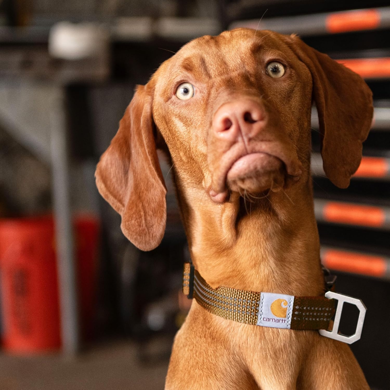 imageCarhartt Pet Fully Adjustable Webbing Collars for Dogs Reflective Stitching for Visibility Blanket Stripe MediumBlack Nylon Webbing