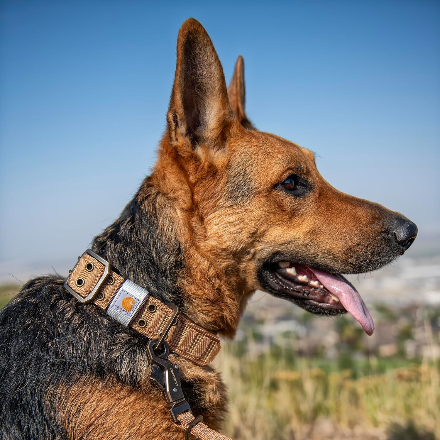 imageCarhartt Pet Fully Adjustable Wide Webbing Collar for Dogs Heavy Duty Nylon for Walking amp Training Black MediumBlack