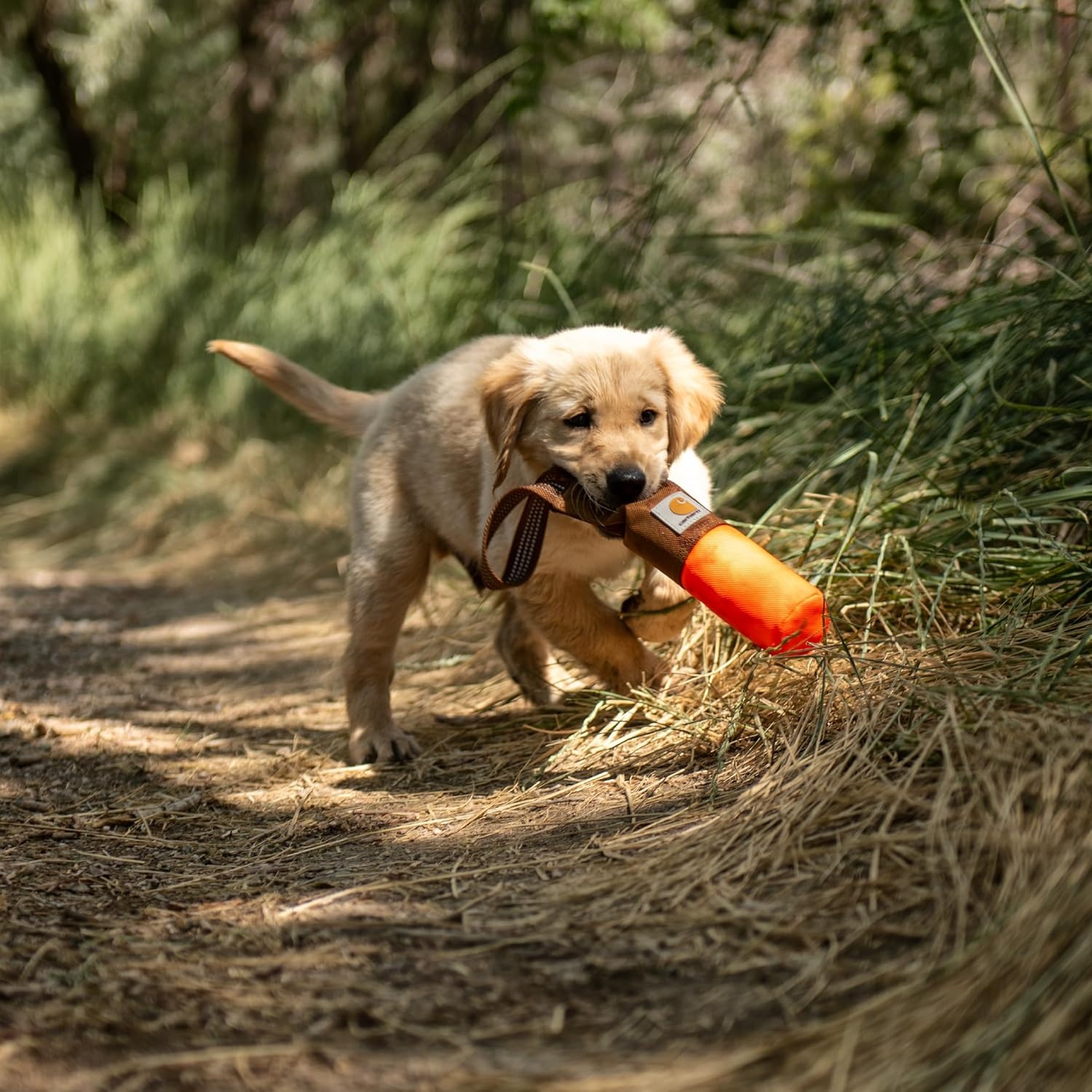 imageCarhartt Pet Training Tool Dog Retrieving Bumper Rugged Nylon Duck Canvas Training Bumper Designed for Retrieval Training Hunter Orange SmallHunter Orange