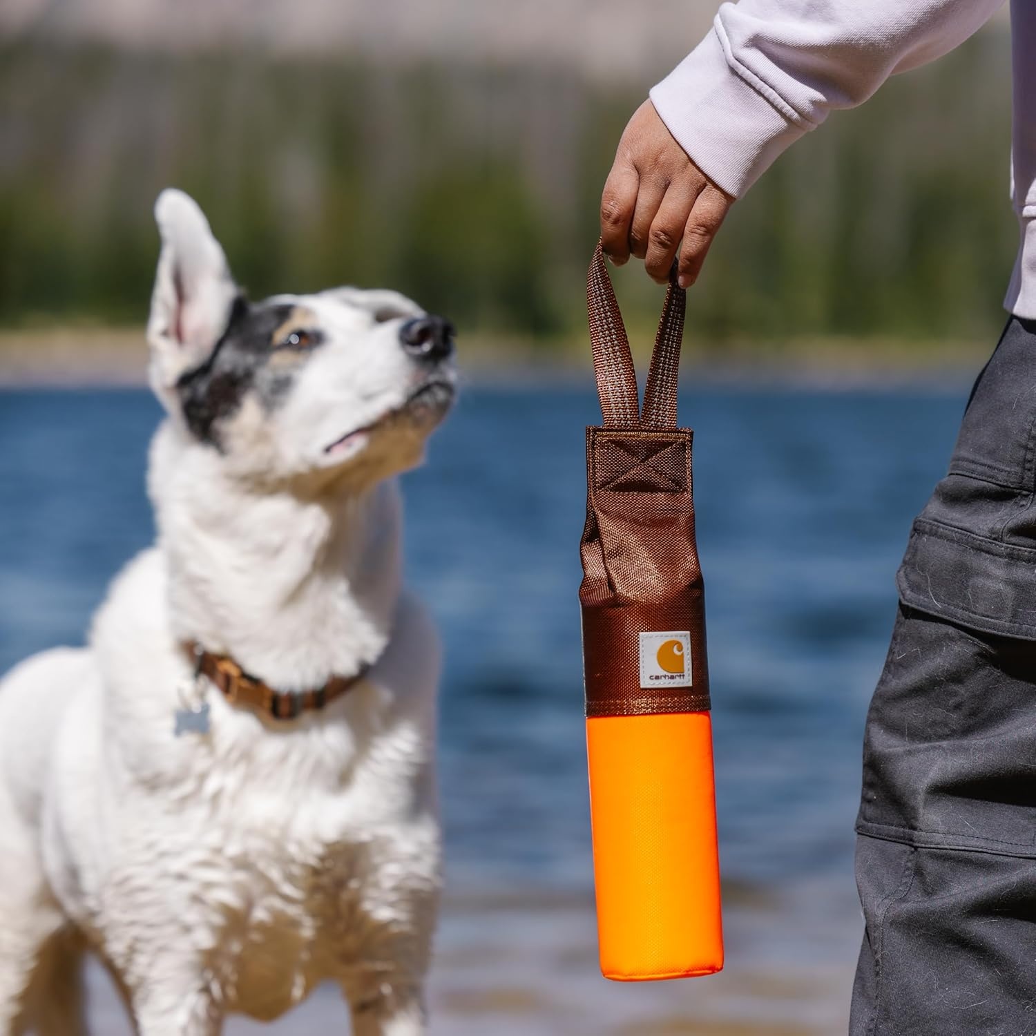 imageCarhartt Pet Training Tool Dog Retrieving Bumper Rugged Nylon Duck Canvas Training Bumper Designed for Retrieval Training Hunter Orange SmallHunter Orange