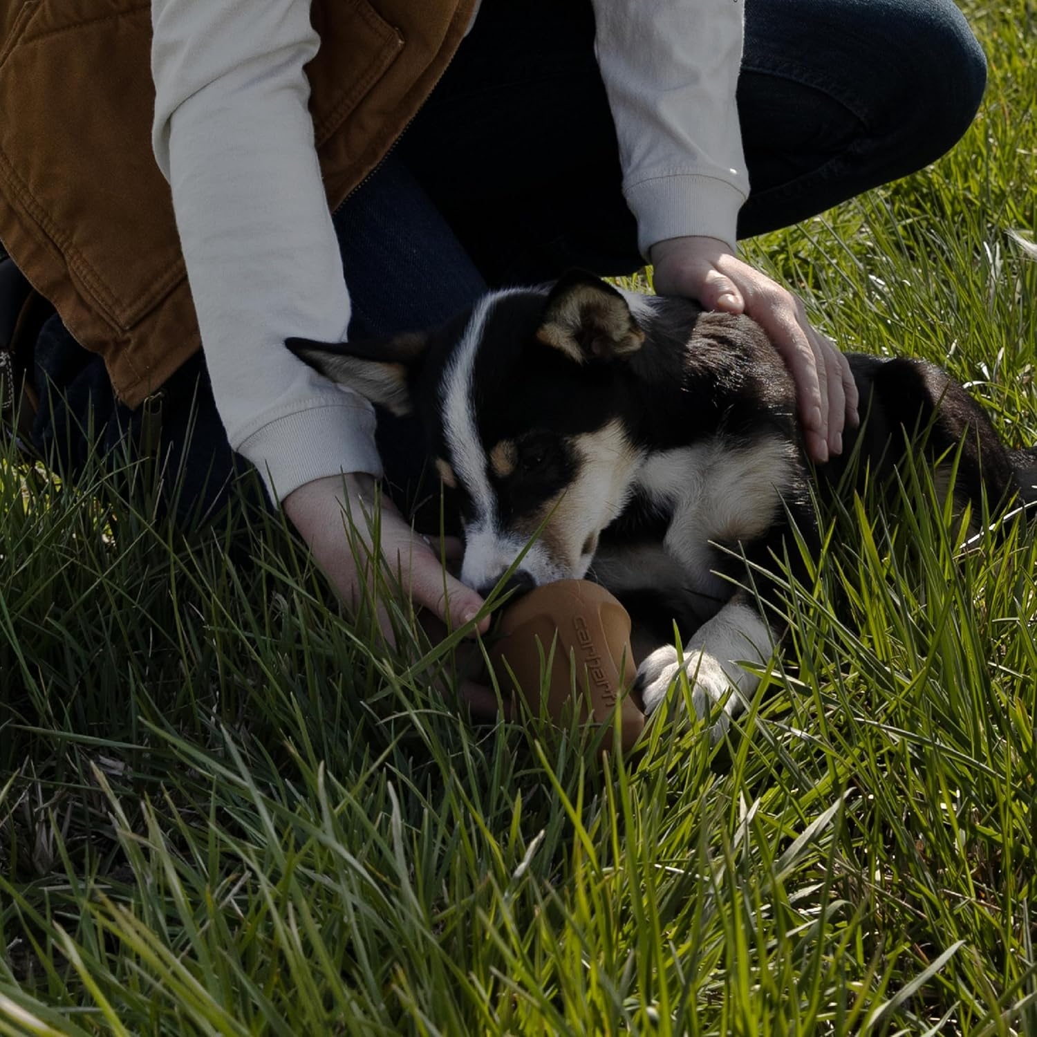 imageCarhartt Pet Training Tools Rugged Dog Tool for Tug Fetch and Play Field Dog Training Pull Carhartt BrownField Dog Training Pull Blaze