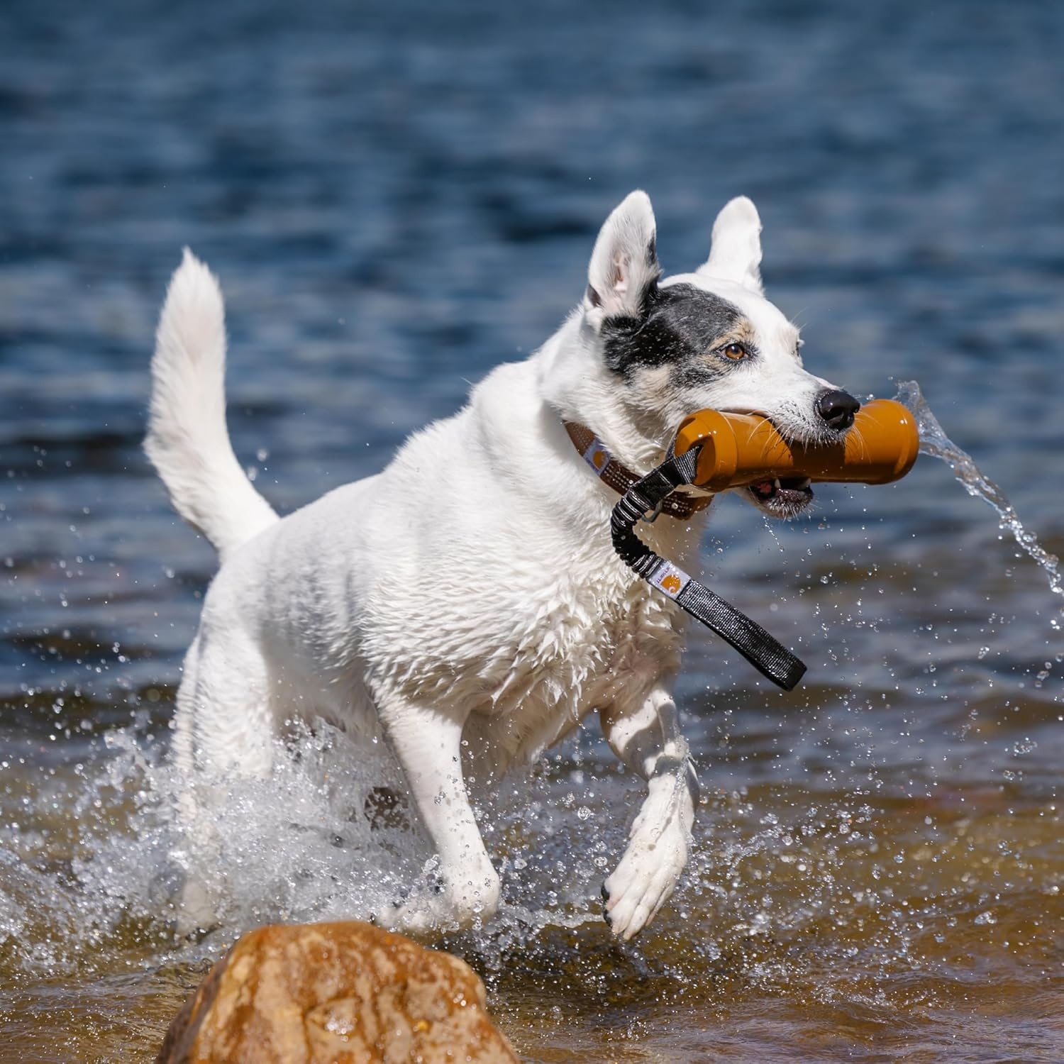 imageCarhartt Pet Training Tools Rugged Dog Tool for Tug Fetch and Play Field Dog Training Pull Carhartt BrownField Dog Training Throw Carhartt Brown
