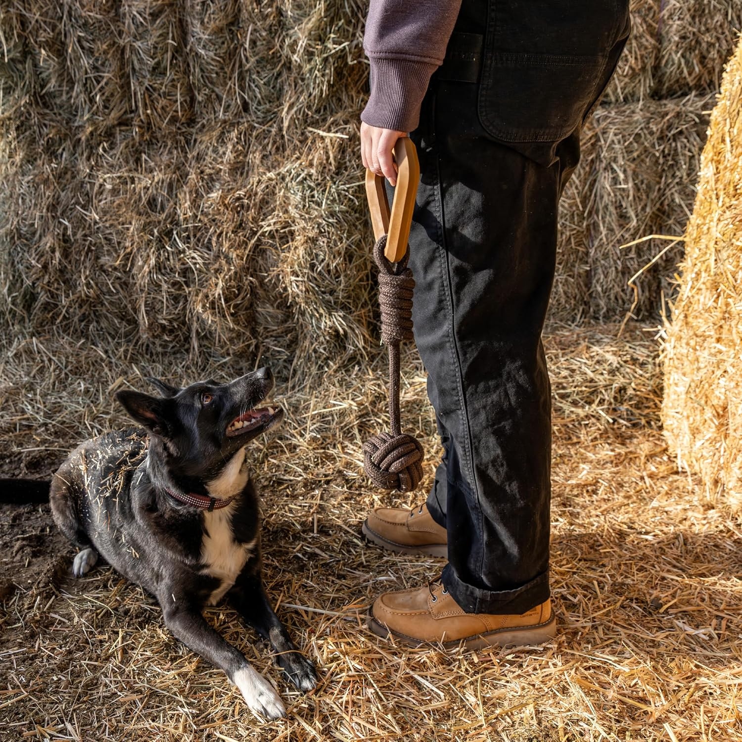 imageCarhartt Pet Training Tools Rugged Dog Tool for Tug Fetch and Play Field Dog Training Pull Carhartt BrownMonkey Fist Dog Pull Blaze Orange