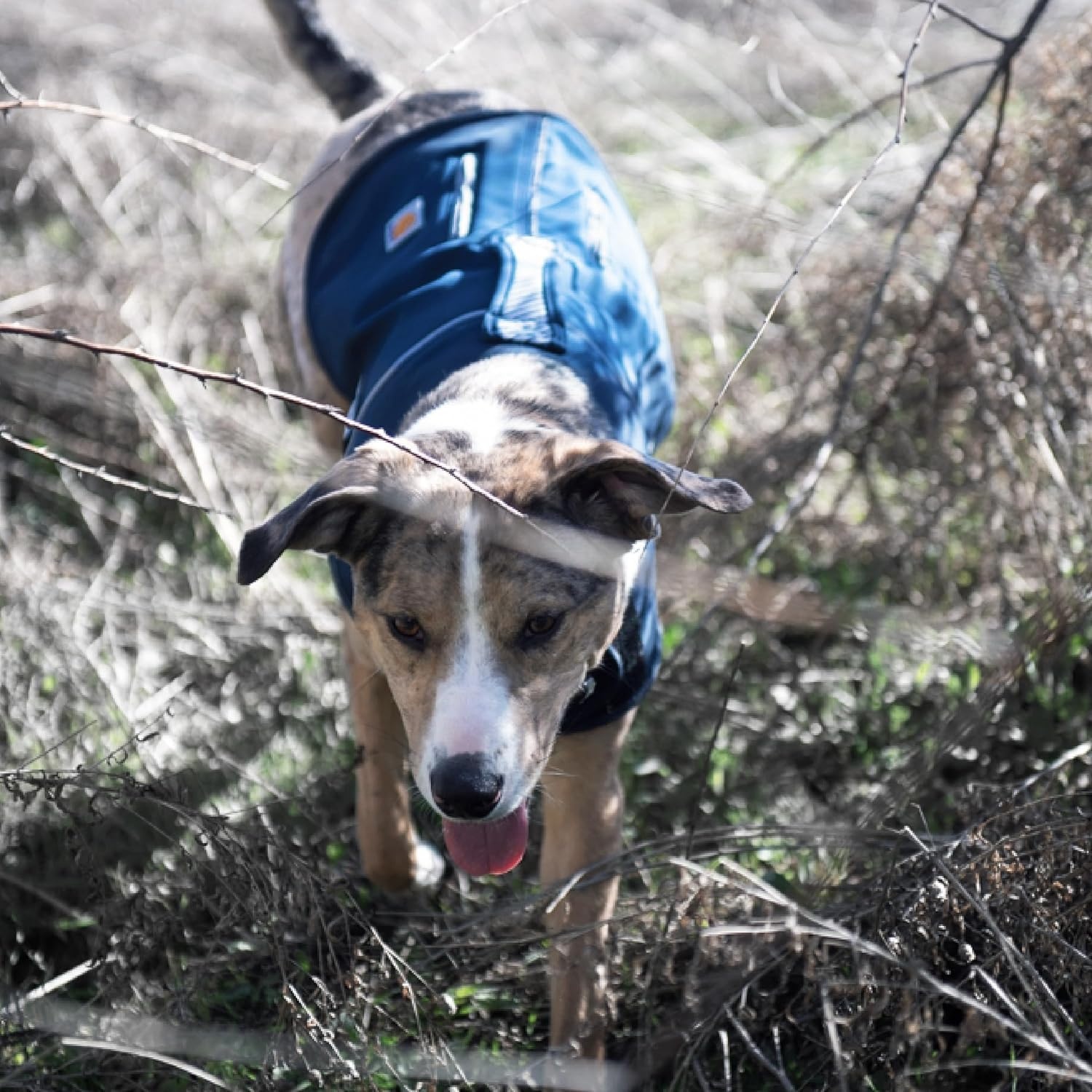 imageCarhartt Quick Duck Fleece Lined Dog Jac WaterRepellent Dog Vest Dark Sapphire LargeDark Sapphire