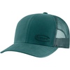 Transformative Teal