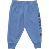 Blue Horizon Wash