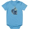 Azure Blue Heather