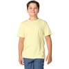 Wax Yellow Heather