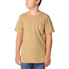 Dark Khaki