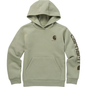 Carhartt boys Hoodie Fleece Pullover SweatshirtHooded Sweatshirt(Jade)