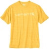 Solar Yellow Snow Heather