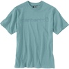 Summer Blue Heather