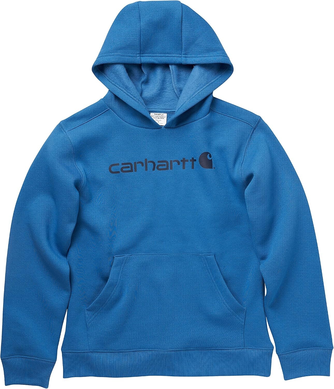image:imageCarhartt boys Longsleeve Hooded Graphic SweatshirtVallarta Blue