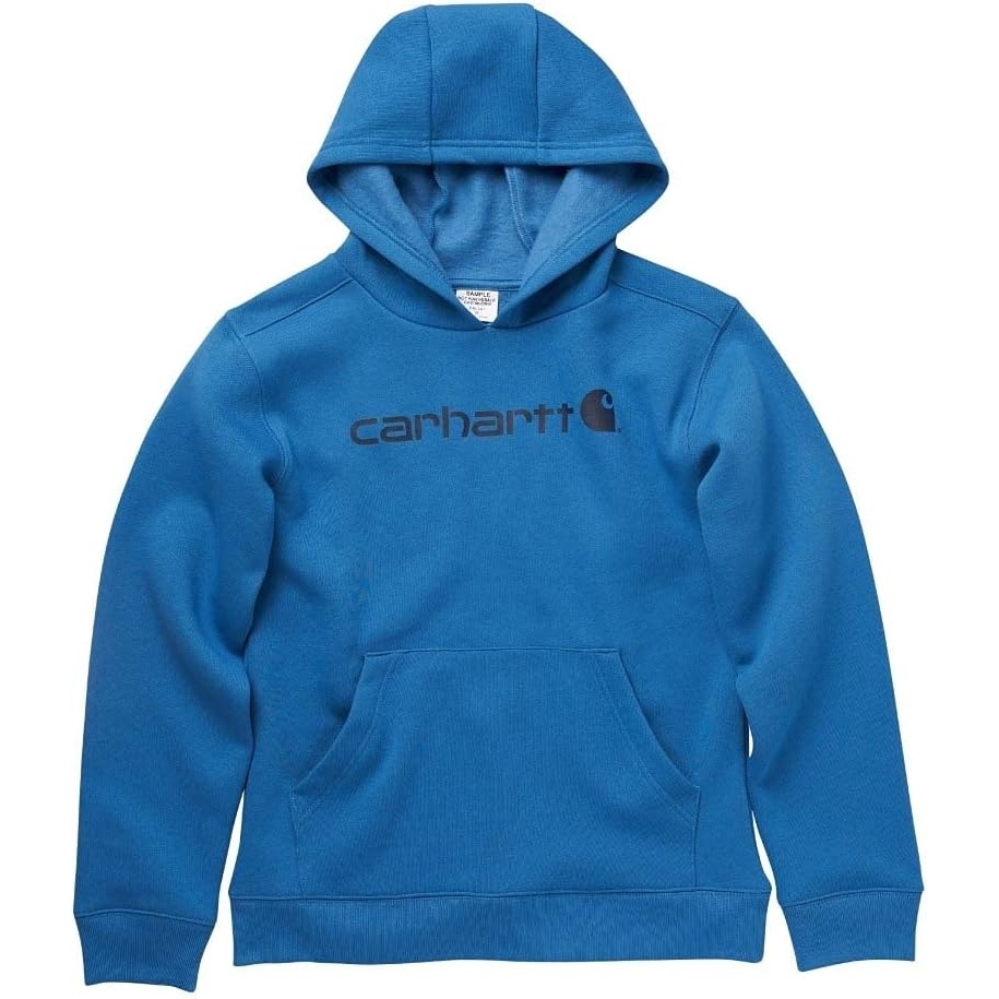 image:imageCarhartt boys Longsleeve Hooded Graphic SweatshirtVallarta Blue