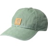 Duck Green