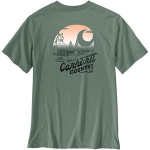 Carhartt Men’s Irvine Relaxed Country T-Shirt(Green Slate)